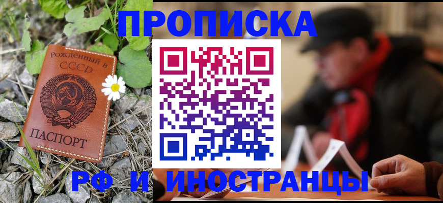 временная регистрация надежно в Куртамыше